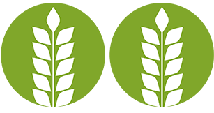 2 épis